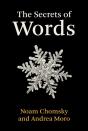 Secrets Of Words - Preview