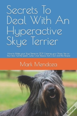 Capa do artigo Secrets To Deal With An Hyperactive Skye Terrier