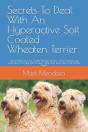 Secrets To Deal With An Hyperactive Soft Coated Wheaten Terrier - Preview