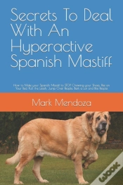 Capa do artigo Secrets To Deal With An Hyperactive Spanish Mastiff