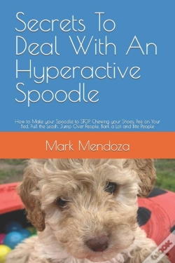 Capa do artigo Secrets To Deal With An Hyperactive Spoodle