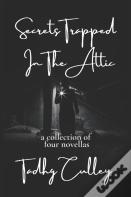 Secrets Trapped In The Attic