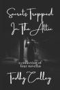 Secrets Trapped In The Attic - Preview