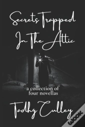 Secrets Trapped In The Attic
