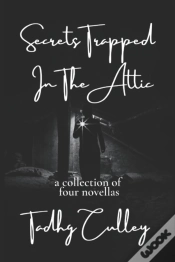 Capa do artigo Secrets Trapped In The Attic