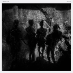 Capa do artigo Section - CD