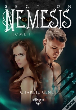Capa do artigo Section Nemesis 1
