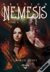Capa do artigo Section Némésis - 4