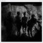 Section - Vinil - Preview