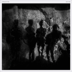 Capa do artigo Section - Vinil