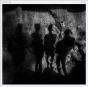 Section - Vinil - Preview