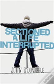 Capa do artigo Sectioned