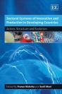 Sectoral Systems Of Innovation And Production In Developing Countries - Preview