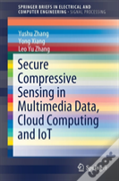 Secure Compressive Sensing In Multimedia Data, Cloud Computing And Iot