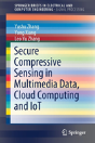 Secure Compressive Sensing In Multimedia Data, Cloud Computing And Iot - Preview
