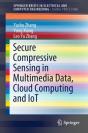 Secure Compressive Sensing In Multimedia Data, Cloud Computing And Iot - Preview