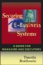 Securing E-Business Systems: A Guide For Managers And Executives - Preview