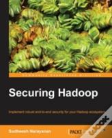 Securing Hadoop