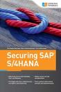 Securing Sap S/4hana - Preview