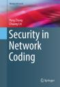 Security In Network Coding - Preview