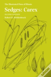 Capa do artigo Sedges
