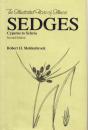 Sedges - Preview