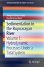 Sedimentation In The Rupnarayan River - Preview