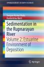 Sedimentation In The Rupnarayan River - Preview