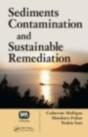 Sediments Contamination And Sustainable Remediation - Preview