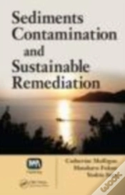Capa do artigo Sediments Contamination And Sustainable Remediation