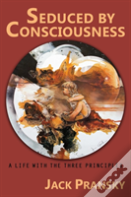 Seduced By Consciousness