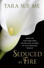 Seduced By Fire: A Partners In Play Novel - Preview