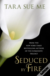 Capa do artigo Seduced By Fire: A Partners In Play Novel