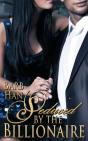 Seduced By The Billionaire - Preview