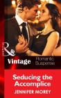 Seducing The Accomplice - Preview