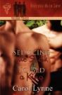 Seducing The Sheik - Preview