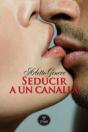 Seducir A Un Canalla - Preview