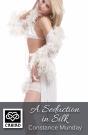Seduction In Silk - Preview