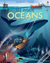 Capa do artigo See Inside Oceans