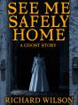 See Me Safely Home - Preview
