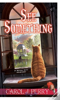 Capa do artigo See Something
