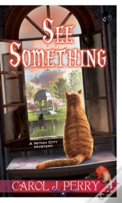 Capa do artigo See Something
