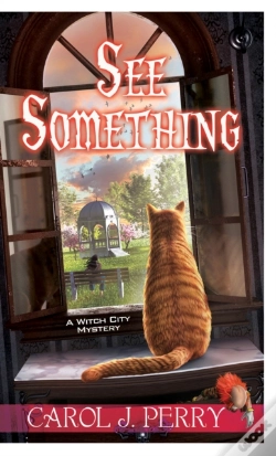 Capa do artigo See Something