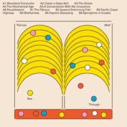 Capa do artigo See-through - Vinil