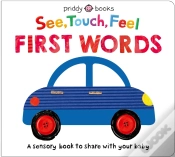 Capa do artigo See, Touch, Feel: First Words