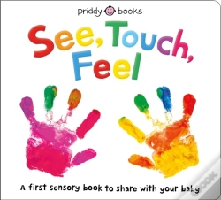 Capa do artigo See, Touch, Feel