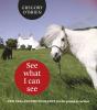 See What I Can See - Preview