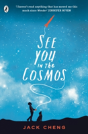 See You In The Cosmos - Preview