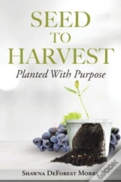 Capa do artigo Seed To Harvest