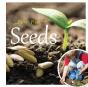 Seeds - Preview